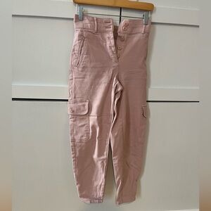 Aritzia cargo pants